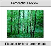 Mystic Forest Screenshot